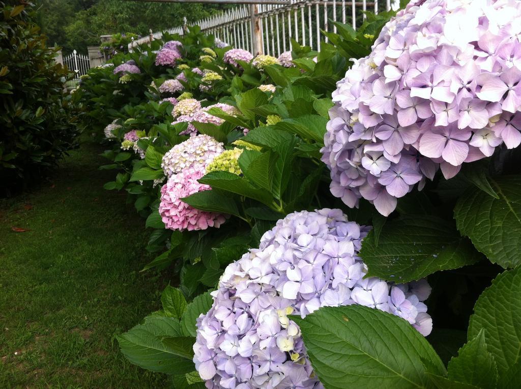 Bed and Breakfast Santa Brigida Pinerolo Exterior foto
