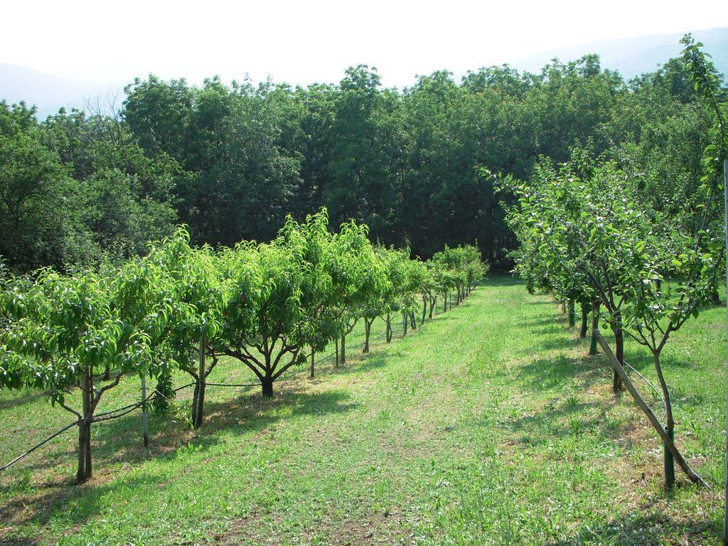 Bed and Breakfast Santa Brigida Pinerolo Exterior foto